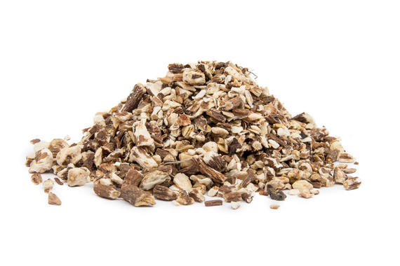 PAMPELIŠKA LÉKAŘSKÁ KOŘEN (Taraxacum officinale) - bylina